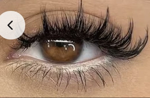 SnapLash — Magnetic Eyelashes & Applicator Kit