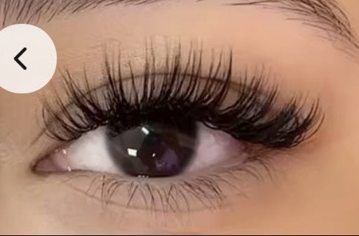 SnapLash — Magnetic Eyelashes & Applicator Kit