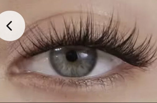 SnapLash — Magnetic Eyelashes & Applicator Kit