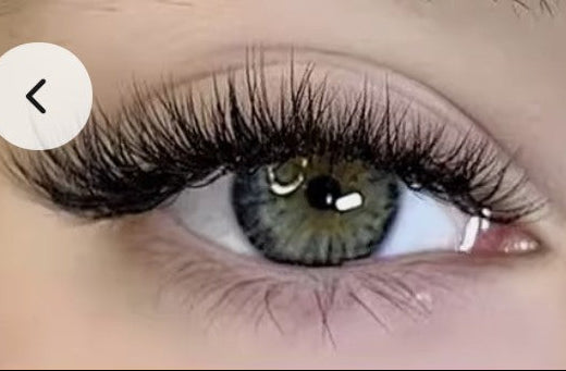 SnapLash — Magnetic Eyelashes & Applicator Kit