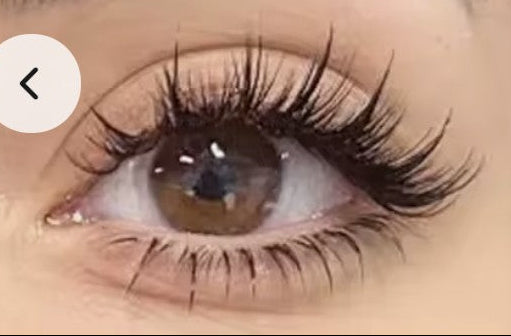 SnapLash — Magnetic Eyelashes & Applicator Kit