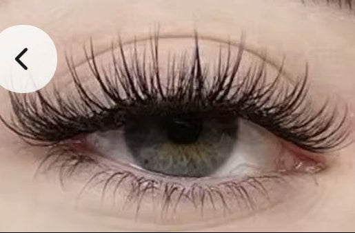 SnapLash — Magnetic Eyelashes & Applicator Kit