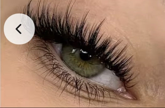 SnapLash — Magnetic Eyelashes & Applicator Kit